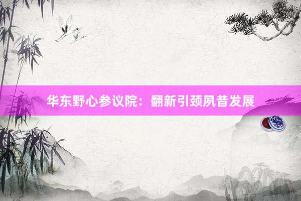 华东野心参议院：翻新引颈夙昔发展