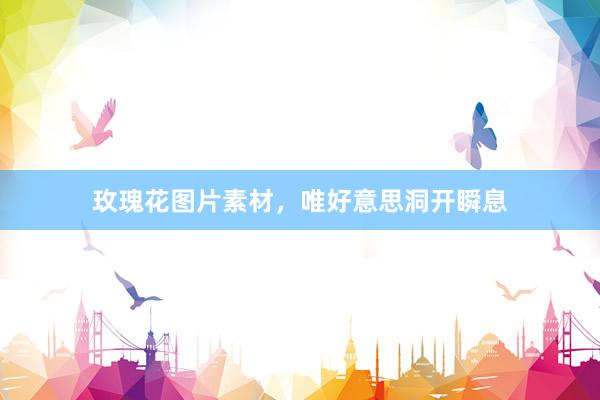 玫瑰花图片素材，唯好意思洞开瞬息