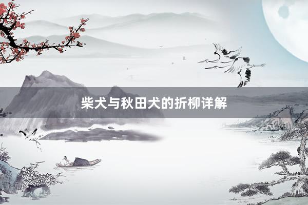 柴犬与秋田犬的折柳详解